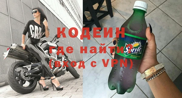 крисы Козельск