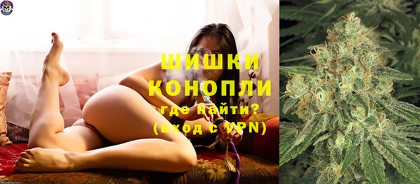 крисы Козельск
