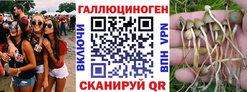 что такое   мориарти формула  Галлюциногенные грибы Cubensis  Лабытнанги  hydra зеркало 