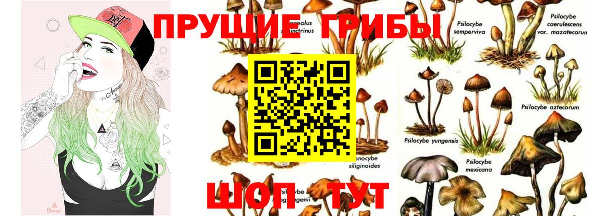 Псилоцибиновые грибы MAGIC MUSHROOMS  Псилоцибиновые грибы Psilocybe  Лабытнанги  Вход с VPN 